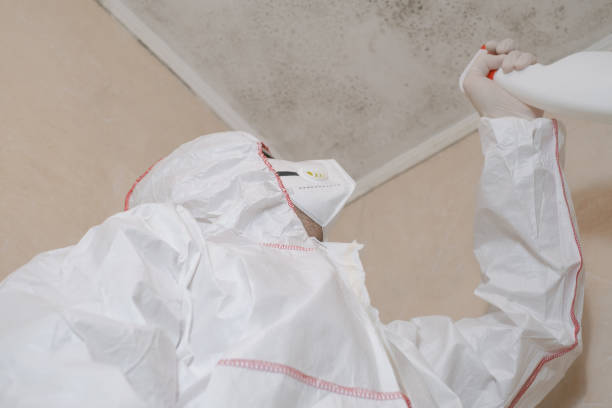 Best HVAC Mold Remediation in Tunnel Hill, GA